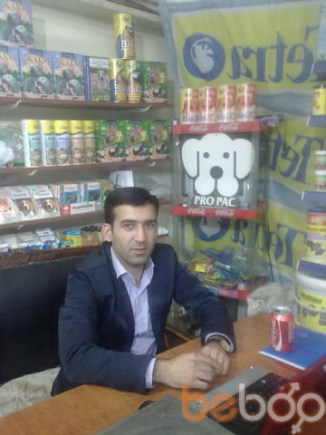  ,   Elnur, 41 ,     , c 