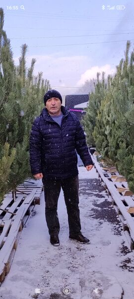  ,   , 51 ,   ,   