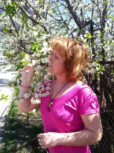  ,   , 53 ,   c 