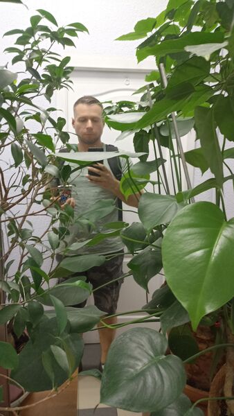  ,   , 44 ,   ,   , c 