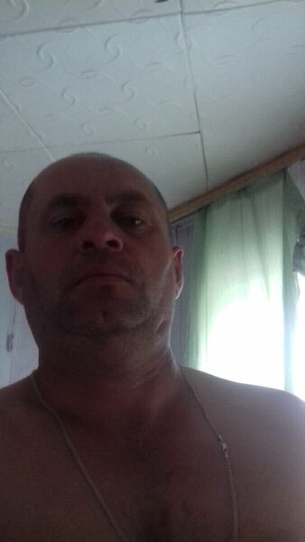  --,   , 49 ,   ,   , c 