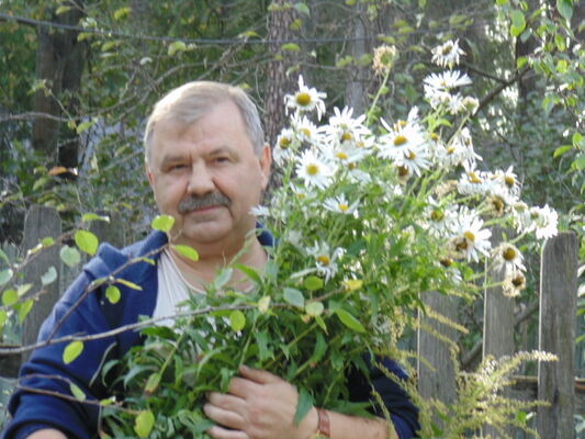  ,   , 67 ,   