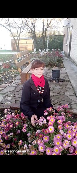  ,   , 46 ,   c 