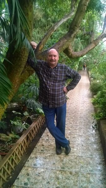  ,   , 55 ,   ,   , c , 