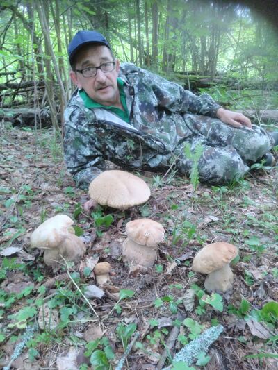  ,   , 56 ,   ,   