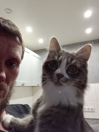  ,   , 39 ,   ,   , c , 