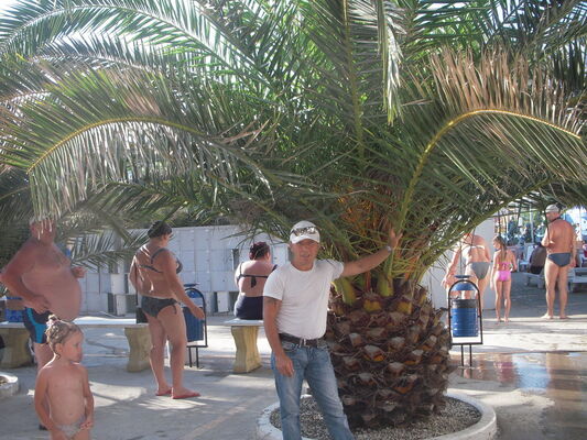  ,   , 59 ,   