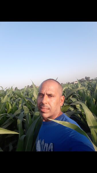  ,   , 46 ,   ,   