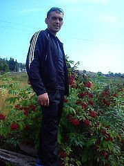  ,   , 43 ,     , c 