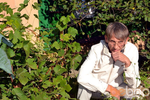 ���������� �����, ���� ������� Alex, 65 ���, ������������ ��� ������