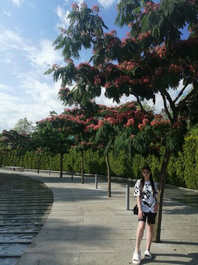  ,   , 20 ,  