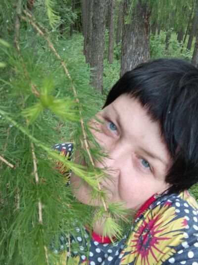 ,   , 51 ,   ,   