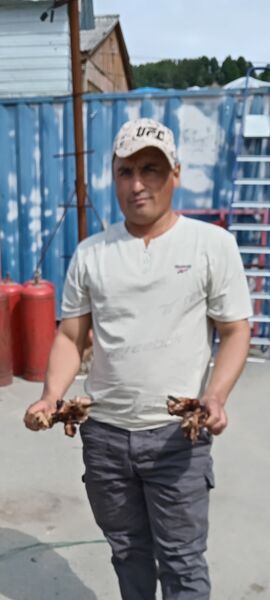  -,   , 36 ,   ,   