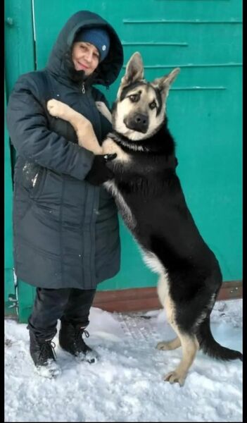  ,   , 59 ,   ,   , c 