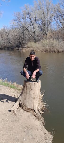  ,   Norik, 41 ,   ,   