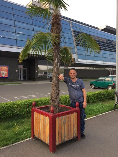   ,   Ego, 46 ,   