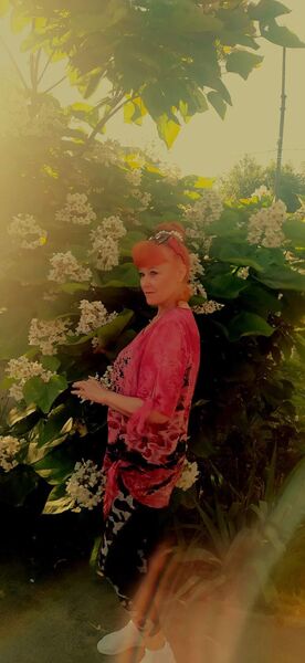  --,   , 55 ,     , c 