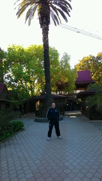  ,   Niko, 50 ,     , c 