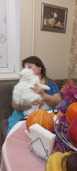  ,   , 54 ,   ,   