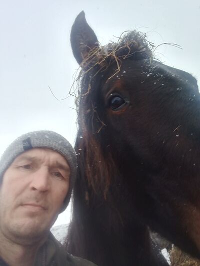  ,   Vvany, 44 ,   , c 