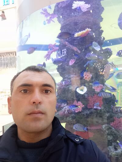 ,   , 41 ,   ,   