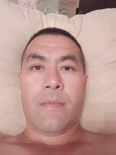  ,   Lion, 40 ,   ,   