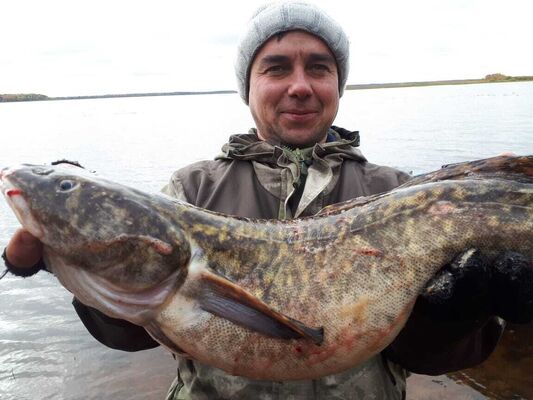  ,   Andrei, 38 ,   ,   , c 