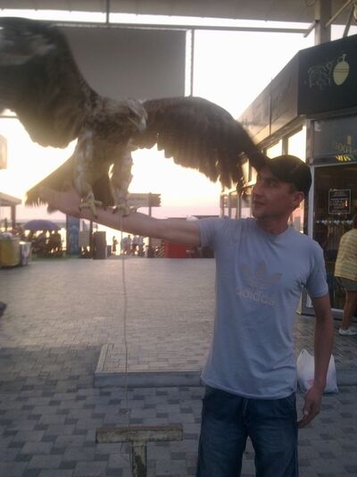  --,   , 40 ,   ,   , c 