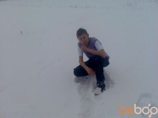  ,   Dima, 31 ,     , c 