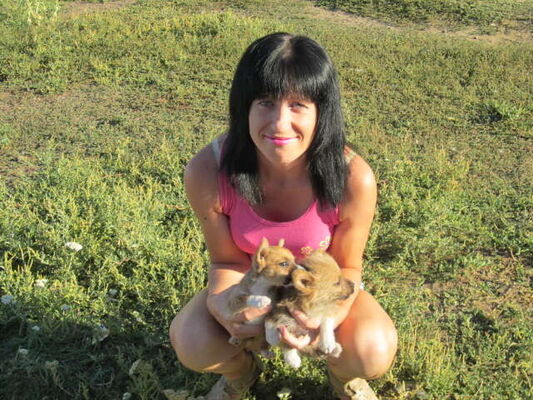  ,   , 36 ,   ,   , c 