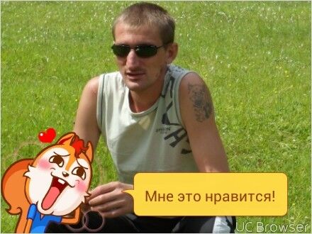 ���������� �����, ���� ������� 9539177814, 43 ����, ������������ ��� ������, ����� � ���������, c�������� ���������