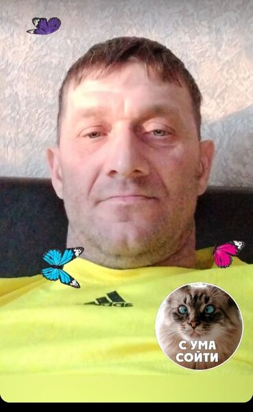  ,   , 49 ,   ,   