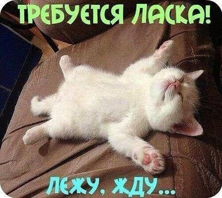  -,   , 54 ,   ,   , c 
