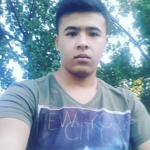 ���������� �������, ���� ������� Shakhzod, 32 ����, ������������ ��� ������, ����� � ���������, c�������� ���������, ���������