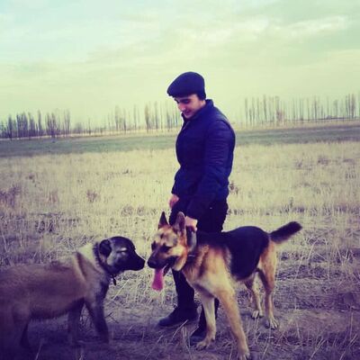  ,   Novruz, 27 ,   ,   