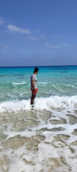  Al Jizah,   Bassem, 21 ,   ,   