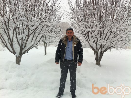  ,   Arman, 43 ,   ,   , c 