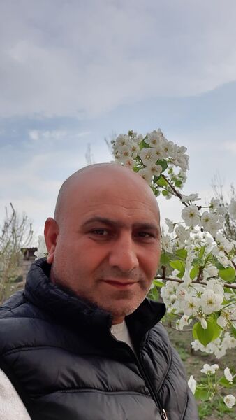  -,    , 53 ,   ,   