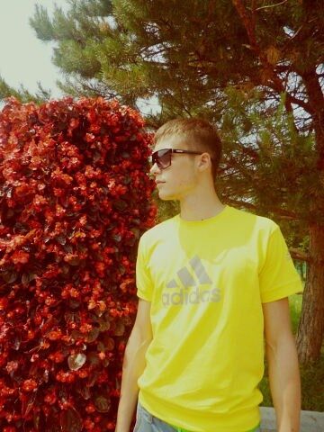  54435763  , 33 ,    --