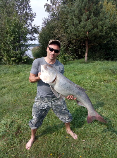  ,   Mark, 44 ,   ,   , c 