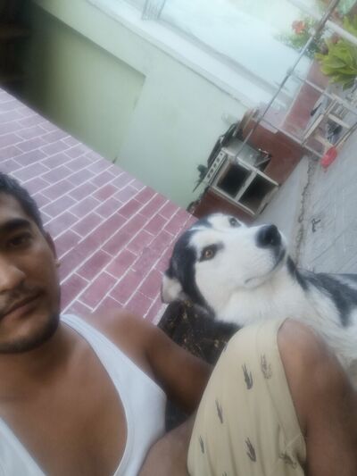  ,   Sher Alex, 35 ,   ,   , c , 