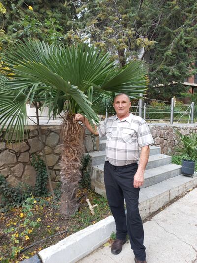  ,   , 65 ,   ,   
