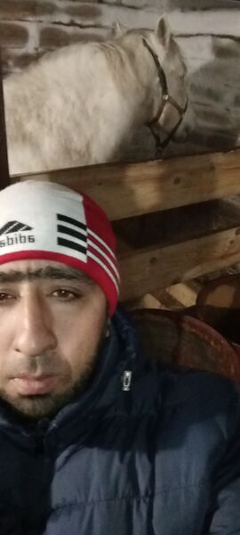  --,   , 35 ,   ,   