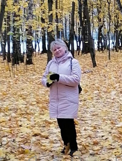  ,   , 66 ,     