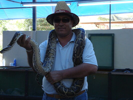  ,   , 52 ,  