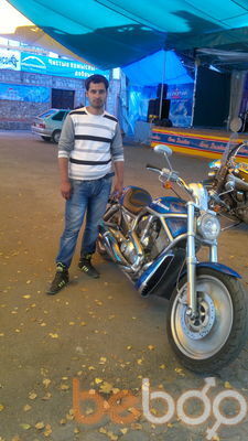  3149853  , 38 ,    