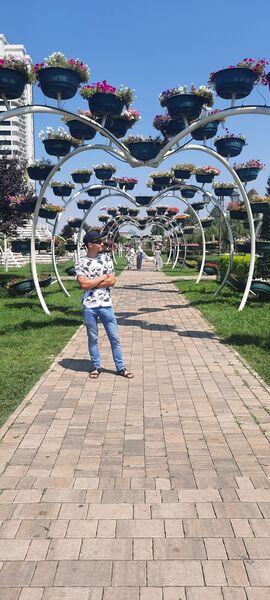  ,   Alexander, 20 ,     , c 