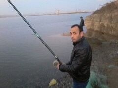  ,   ALEDDIN, 40 ,   ,   , c 