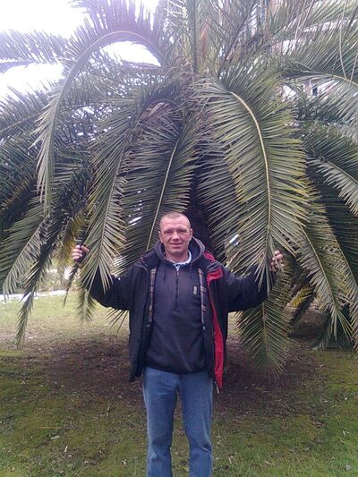  ,   , 55 ,   