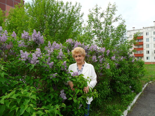  ,   , 68 ,   ,   , c 